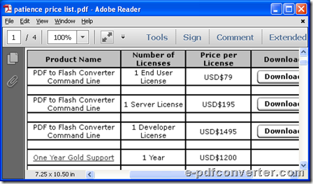 Produced PDF file through conversion from Excel to PDF