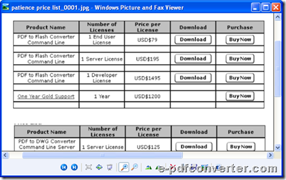 Preview of image after conversion from Excel to image