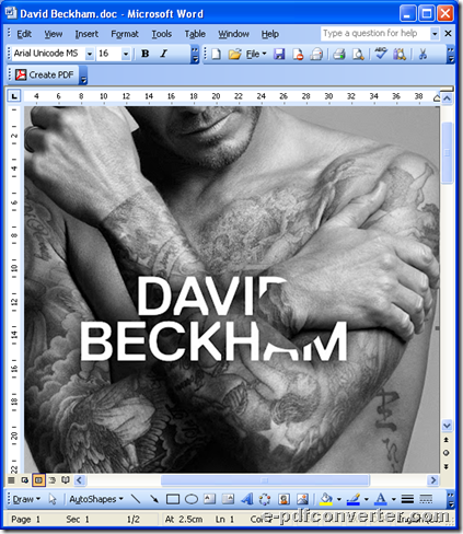 DOC file for you to convert Word to image later with e-PDF Converter and Creator Printer