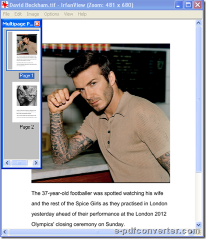 TIFF preview with specified pages order after converting Word to image
