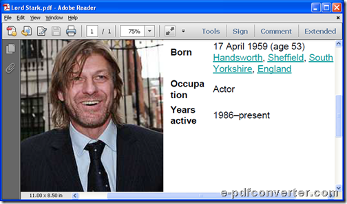 Produced PDF file after conversion from PPT to PDF through GUI